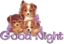 Good Night