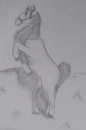 Horse draw