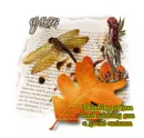 Wishing you a great autumn-Yam