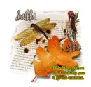 Wishing you a great autumn-Belle