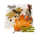 Wishing you a great autumn-Anna