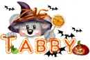 tabby