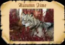 Autumn time