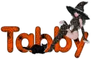 Tabby