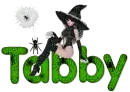 Tabby