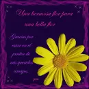 amistad