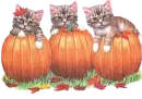 read reply remove halloween