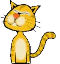 cool cat