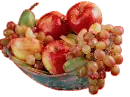 Autumn Friuts