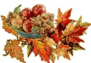 Autumn Friuts