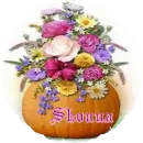 Pumpkin and Flowers - Shonna