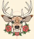stag