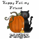 Fall kitty - Rachel
