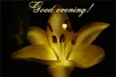Good evening!