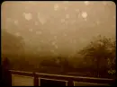 Foggy scene