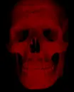 maroon skull