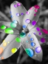 -:Â¦:-â€CoLoRFuL WaTeRdRoPs-:Â¦:-â€