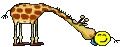 GERAFF