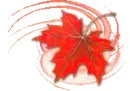 AUTUM LEAF