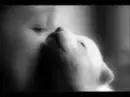 A CHILD WITH A PUPPY