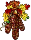 DRIED CORN--AUTUNM