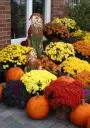 AUTUM FLOWERS