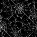 SpiderWebs