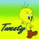 baby tweety