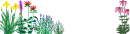 flower line