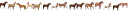 horse line