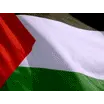 palestine flag