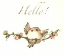 hello!