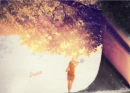 Dream-signature