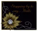Stopping by to say...hello