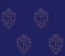 Jonas Brother Background