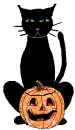 black cat and jackolantern