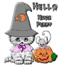 hello Perry
