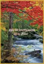 Fall Peaceful Day