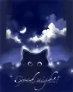 good night!