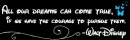 All our dreams can come true, if we have the courage