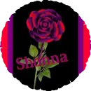 Red Stem Rose - Shonna