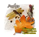 Wishing you a great autumn-Jenalyn