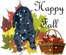 happy fall