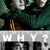 Still ask why?