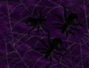 spider wallpaper