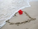 Love_In_The------>Beatch