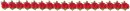 red rose divider