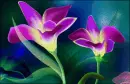 pink Flowers