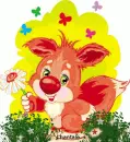 sweet fox