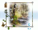 Nature forest
